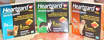 Heartgard