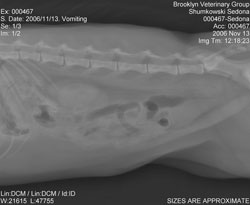 tinsel ingestion xray